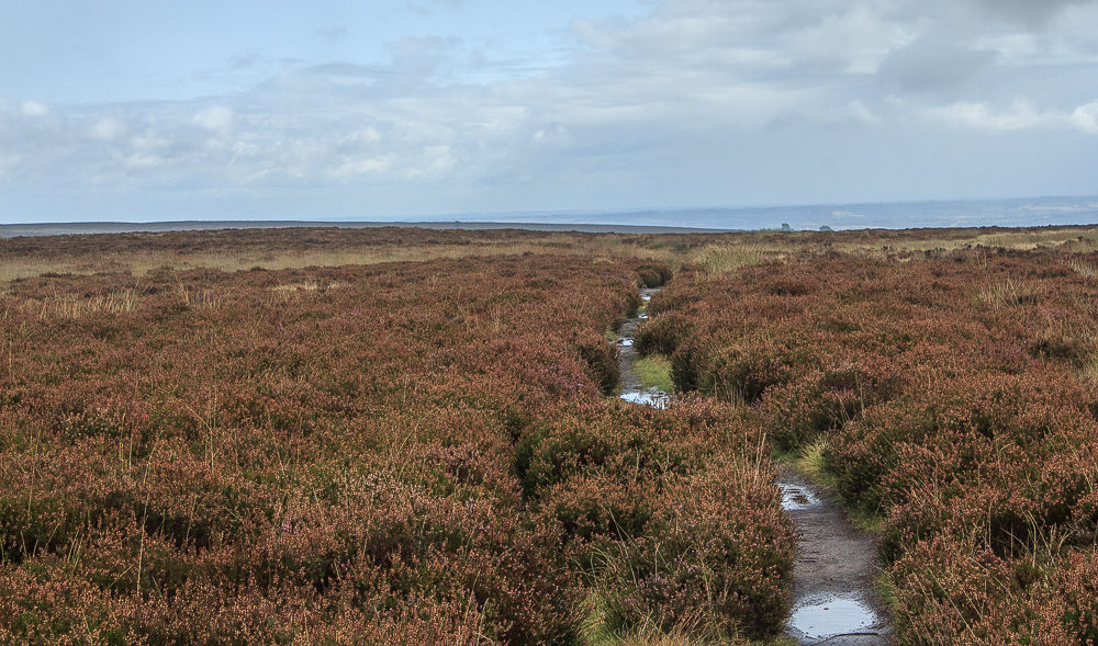 White Edge Moor White Edge Moor